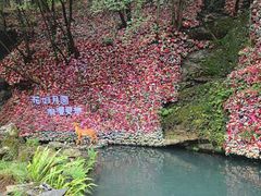 -灵栖洞天