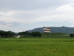 -光明小镇欢乐田园