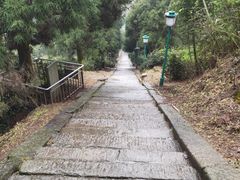 -长沙黑麋峰国家森林公园