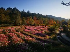-塔川景区