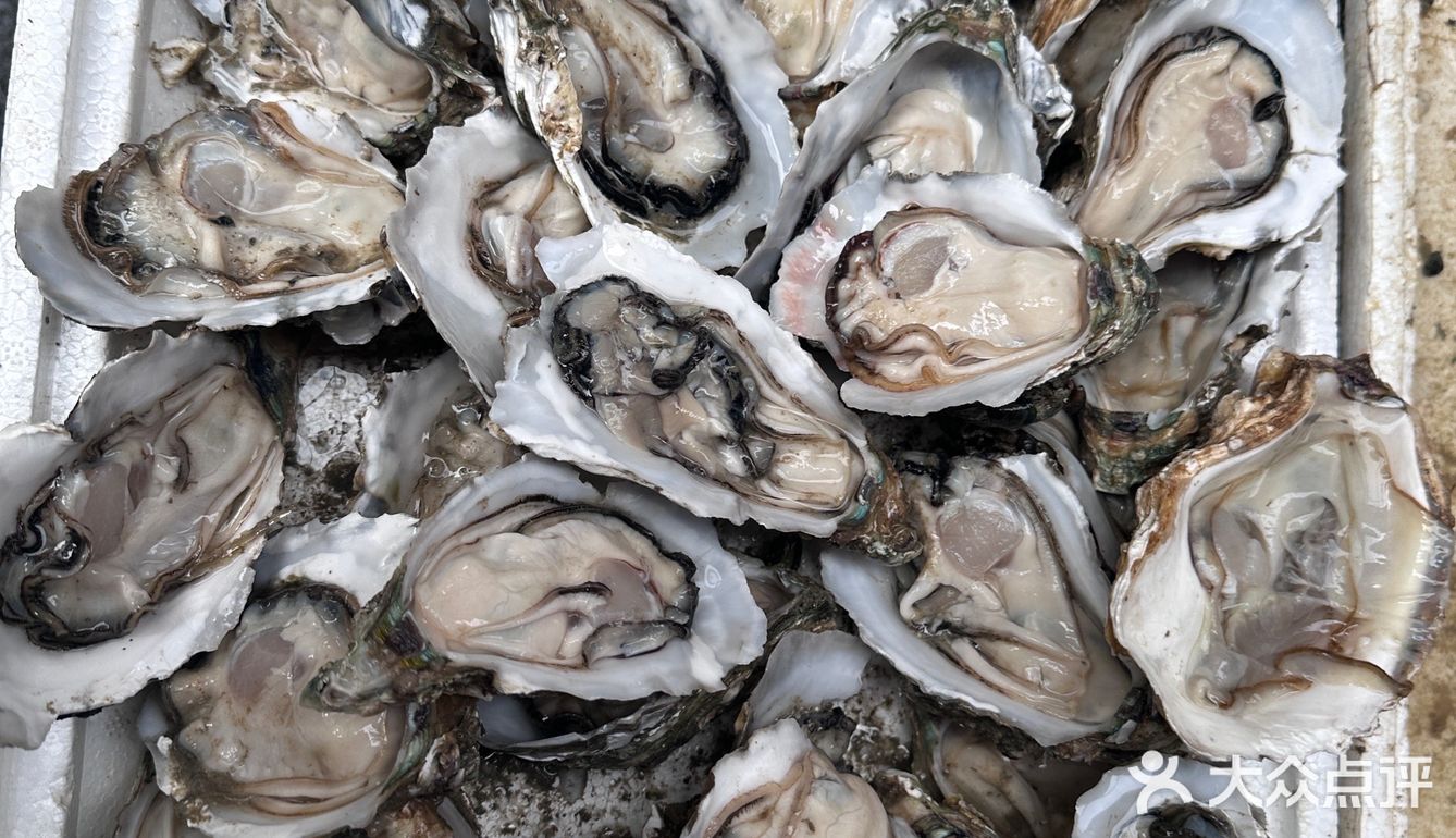 海口宝藏海鲜代加工店