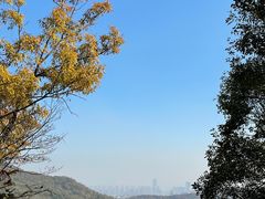 -老山国家森林公园