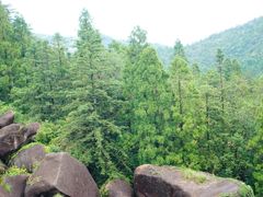 -玉苍山国家森林公园