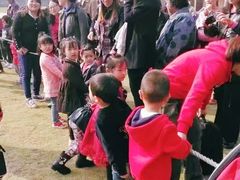 -黄贤森林公园