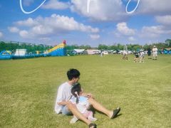 -春花秋色城市公园