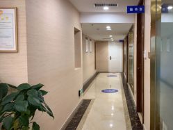 -碧莲盛·不剃发植发