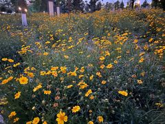 -眉山湿地公园(东坡区)