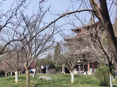 -西安青龙寺遗址景区