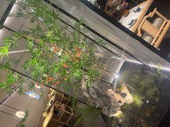 -绿茶餐厅(青岛城阳万象汇店)