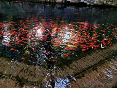 -水磨沟公园