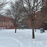 外卖不用排队，进去后我和老板用英语、法语及翻译器交流
