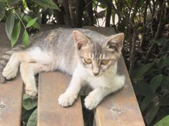 -君之悦·影院式足道·养生SPA(回兴店)