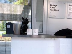 -BLATAGE COFFEE