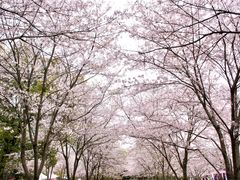 -团城山公园