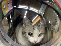 -爱侣宠医·鹦鹉专科·小型哺乳类·异宠专科(灵石路店)