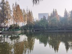 -黄兴公园