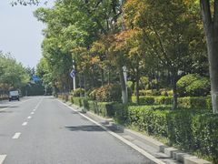 -李村大集