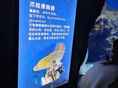 -南昌融创海世界