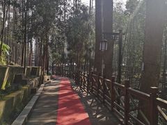 -都江堰普照寺