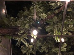 -zarah(鼓楼店)