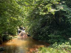 -赤水丹霞旅游区·佛光岩