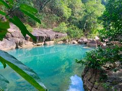 -广州白江湖森林公园