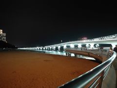 -演武大桥观景平台