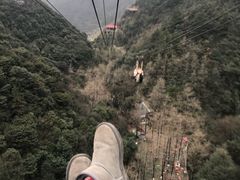 游乐设施-梦幻奥陶纪景区