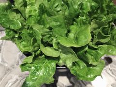 -潮发潮汕牛肉店(龙洞店)