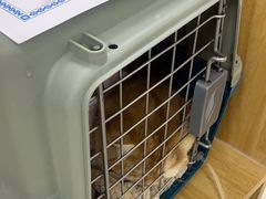 -美联众合动物医院·24h京西诊疗中心