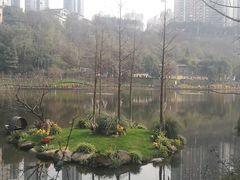 -重庆彩云湖湿地公园
