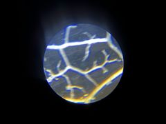 -果之满满鲜榨果汁(科技产业大厦店)