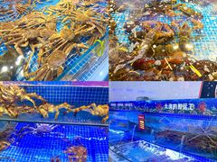 -驻海渔市(置信店)