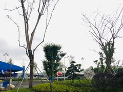 -成飞公园