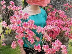 -南通洲际绿博园