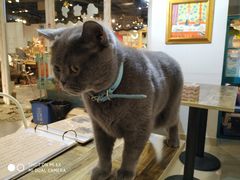 -小时光咖啡馆(开森度假森林店)