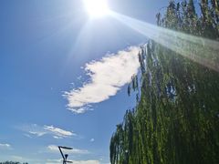 -大兴滨河森林公园