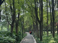 -美兰湖景区