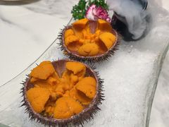 海胆-正黄旗海鲜烧烤大排档(延安路总店)