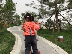 -西海子公园