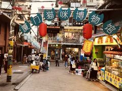 -猫咪博物馆(顶澳仔猫街店)