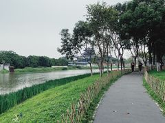 -海珠湖公园