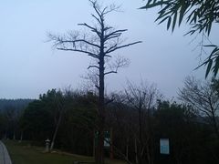 -敬亭山风景名胜区