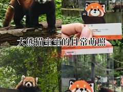 -荆州中山公园动物园