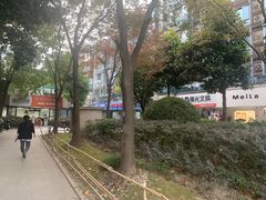 -上海市第四人民医院
