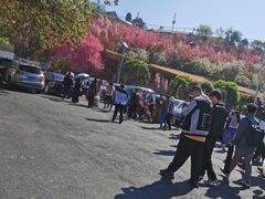 -正宗火盆自助烧烤·烤全羊·柴火鸡(龙泉山店)