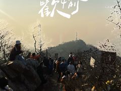 -紫金山山顶公园