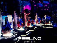 -Dr.Feeling 菲林酒吧(天津店)