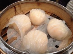 虾饺-糖朝(尖沙咀店)