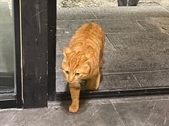 -聚汇三少·龙虾·中餐厅(莫邪路新天地店)